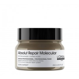 L'Oréal Professionnel Serie Expert Absolut Repair Molecular Máscara 250ML